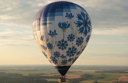 Полет на воздушном шаре со скидкой до 46%